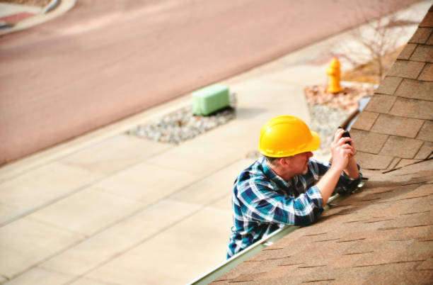 Best Gutter Installation and Roofing  in Randolph, NE