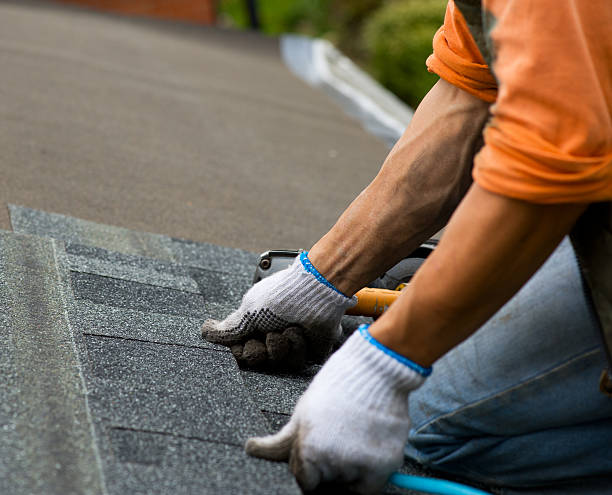 Best Flat Roof Repair Services  in Randolph, NE